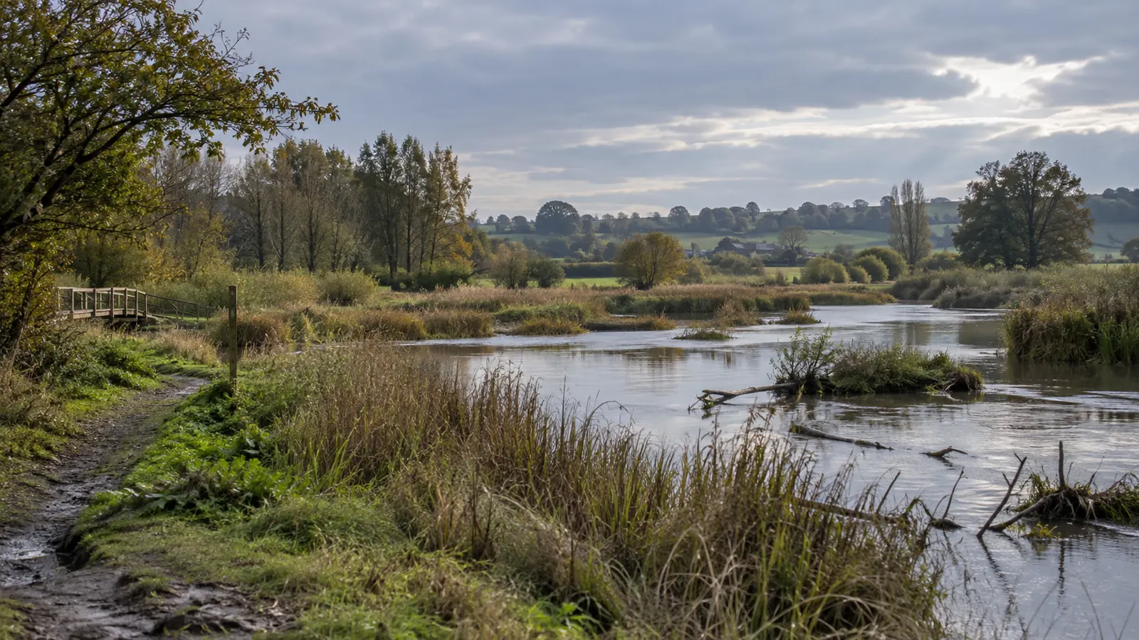 A river wetland, reeds and farmland viewed from a local footpath.